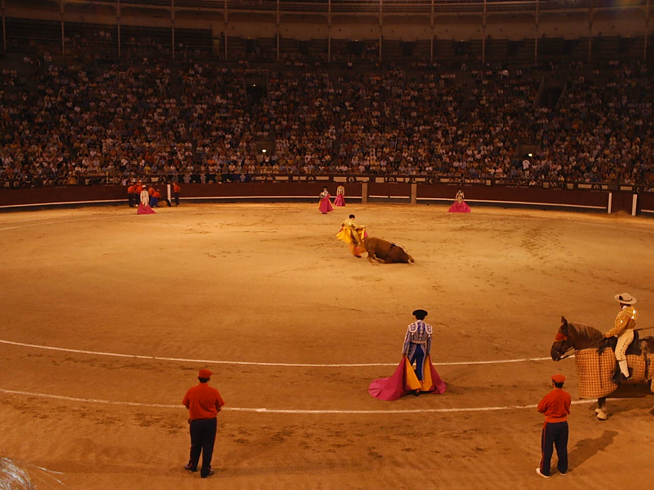 __hr_The slipping bull
